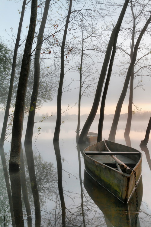 Rui	David Fotografie Serene Dawn, Rui	David, 26.7 × 40 cm