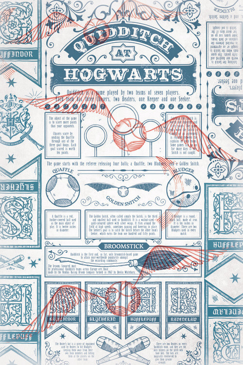 POSTERS Umělecký tisk Harry Potter - Quidditch at Hogwarts, 26.7 × 40 cm