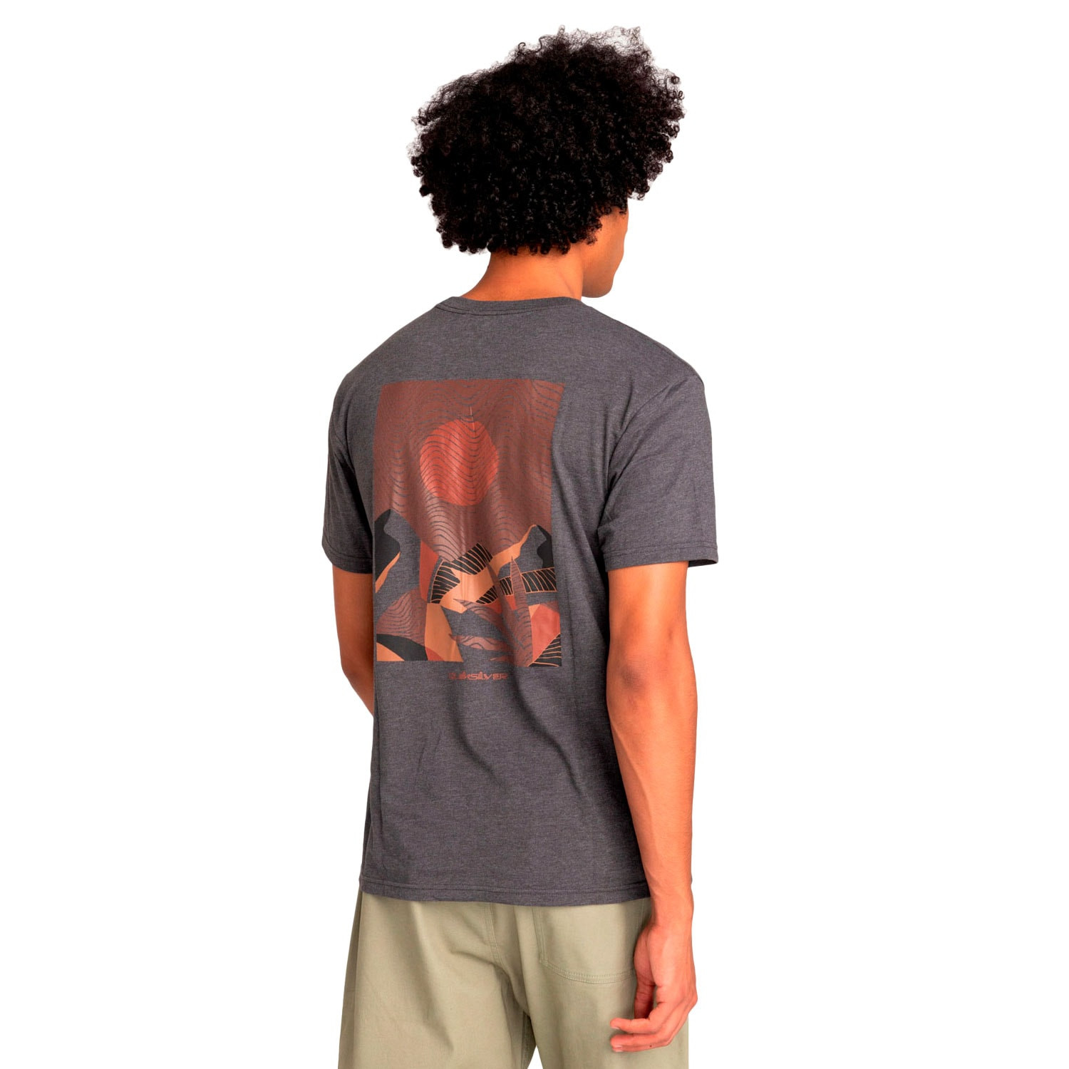 Quiksilver Abstract Nature Ss