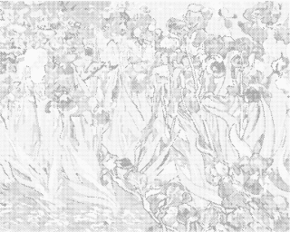 Tečkování - KOSATCE (VAN GOGH)