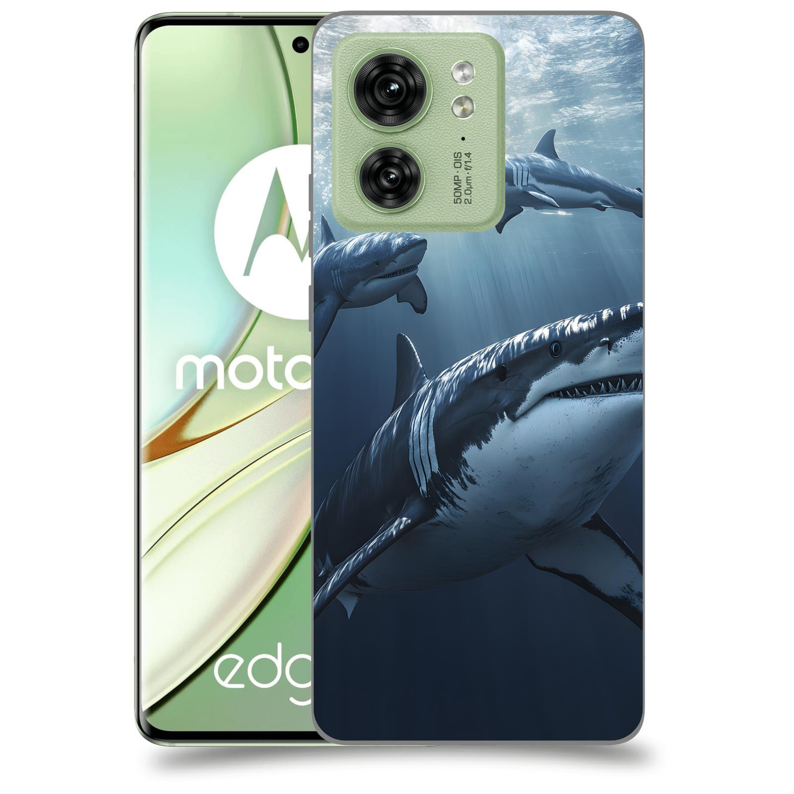 ACOVER Kryt na mobil Motorola EDGE 40 5G - Žraloci