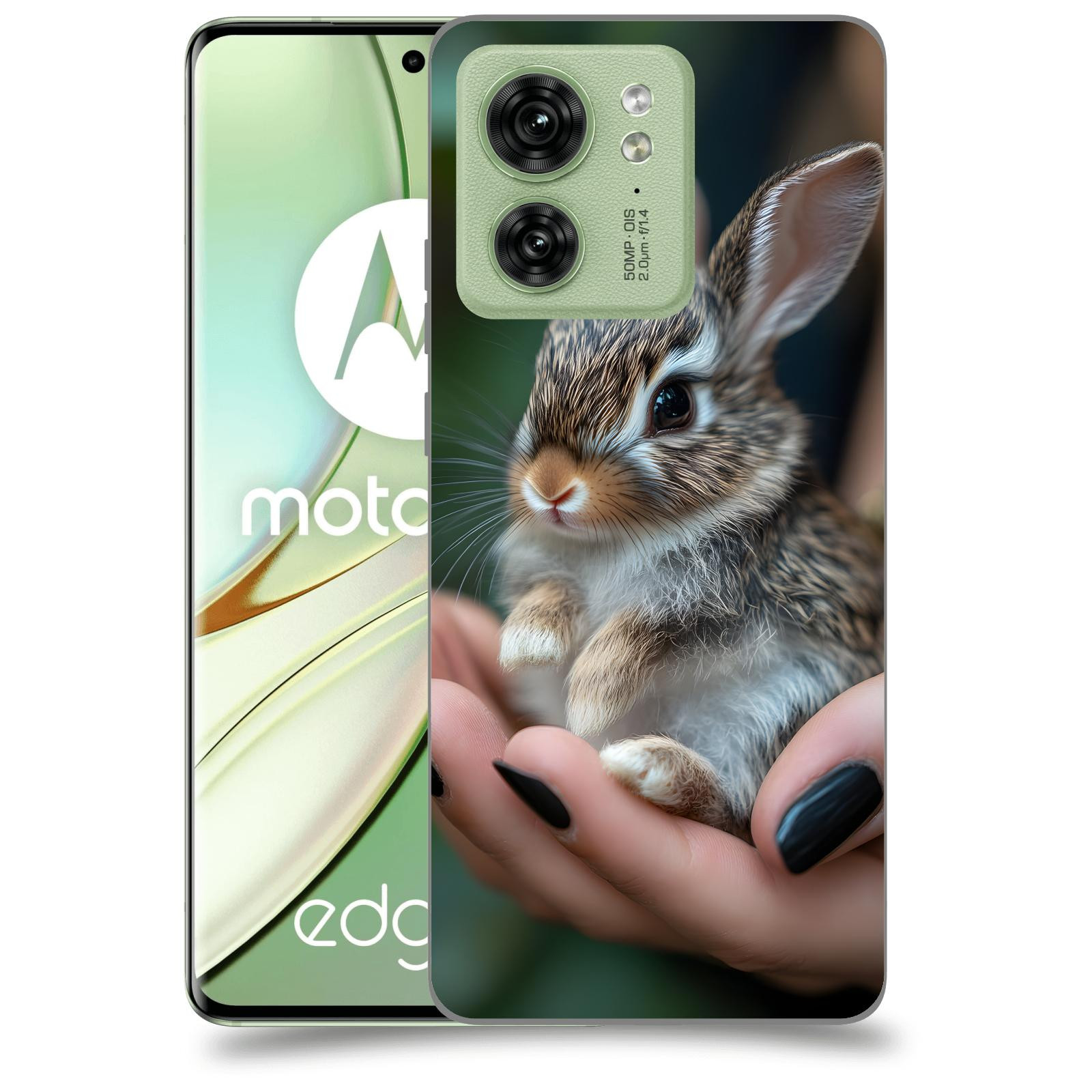 ACOVER Kryt na mobil Motorola EDGE 40 5G - Králíček