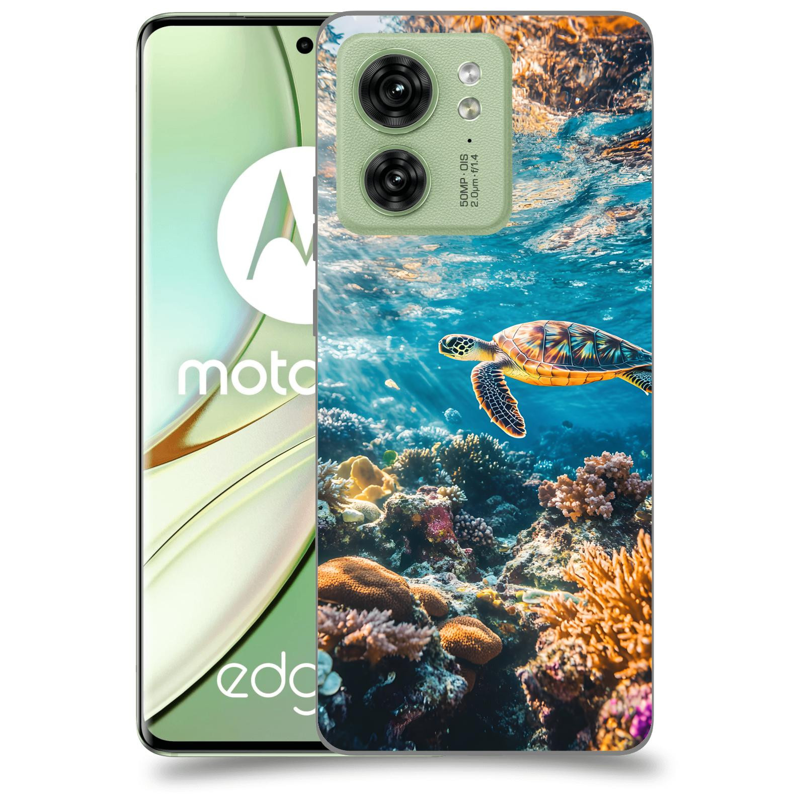 ACOVER Kryt na mobil Motorola EDGE 40 5G - Želva