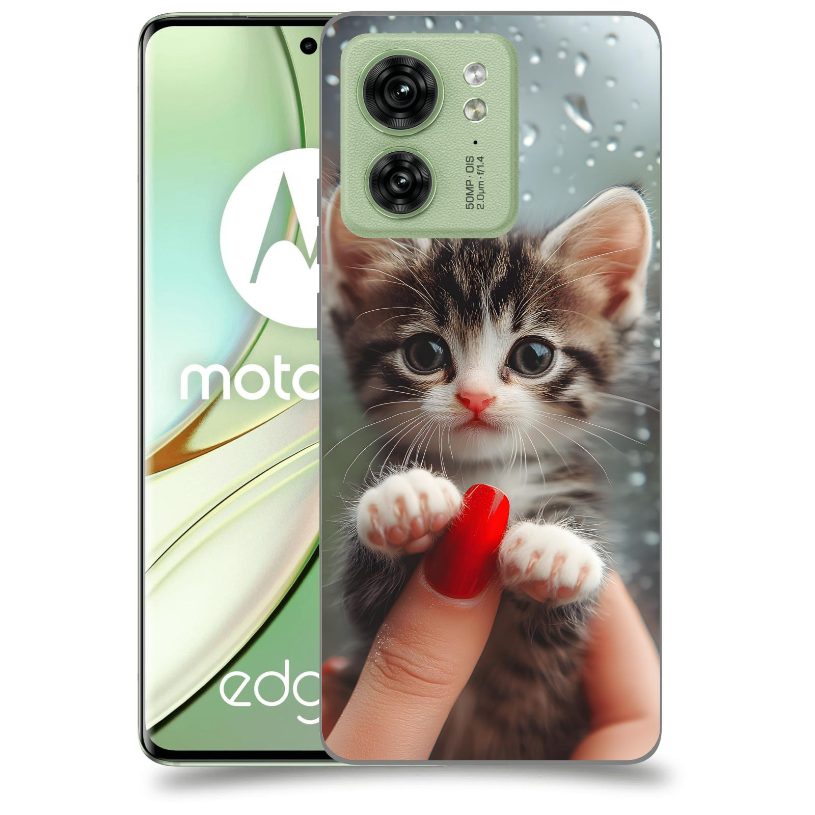 ACOVER Kryt na mobil Motorola EDGE 40 5G - Koťátko 2