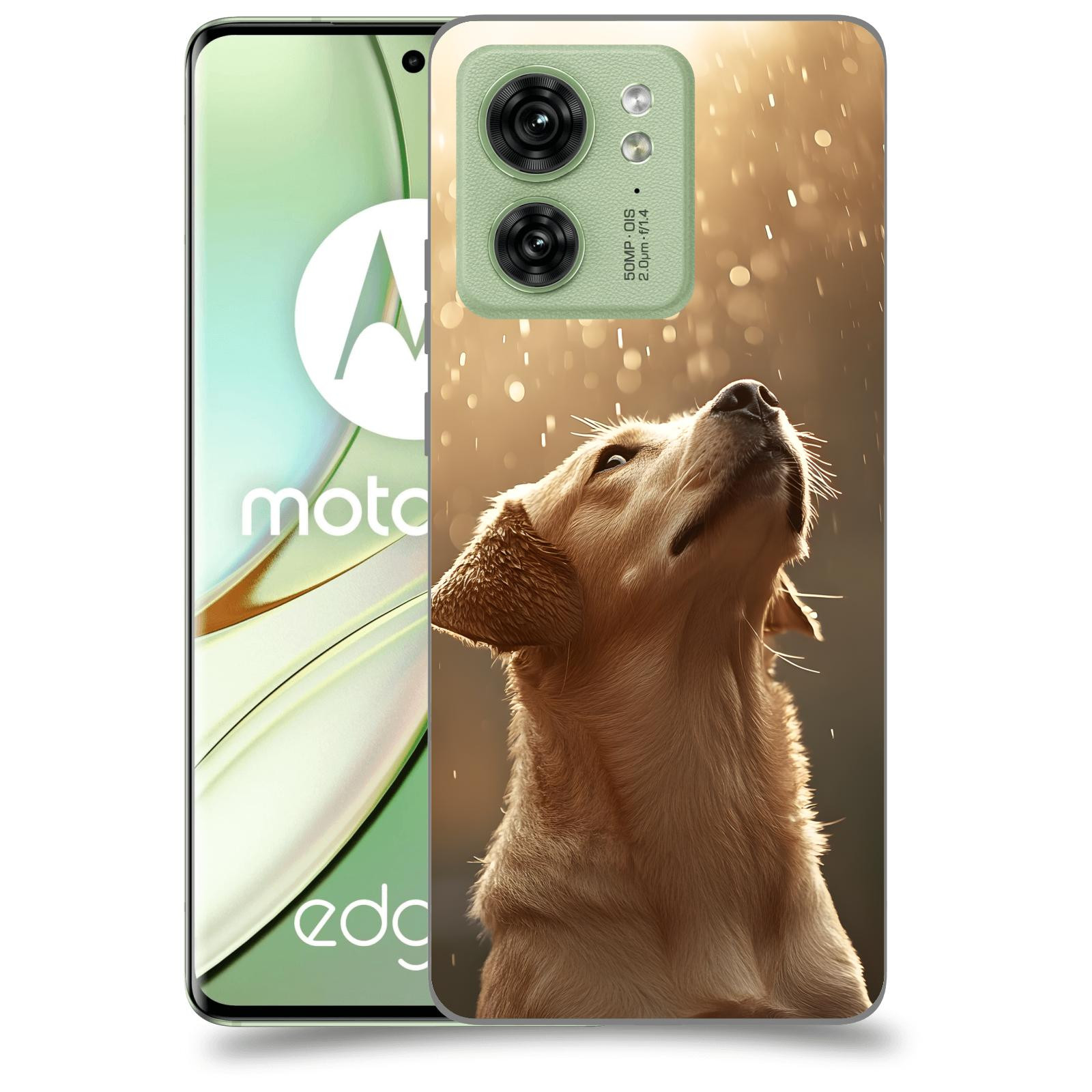 ACOVER Kryt na mobil Motorola EDGE 40 5G - Pes