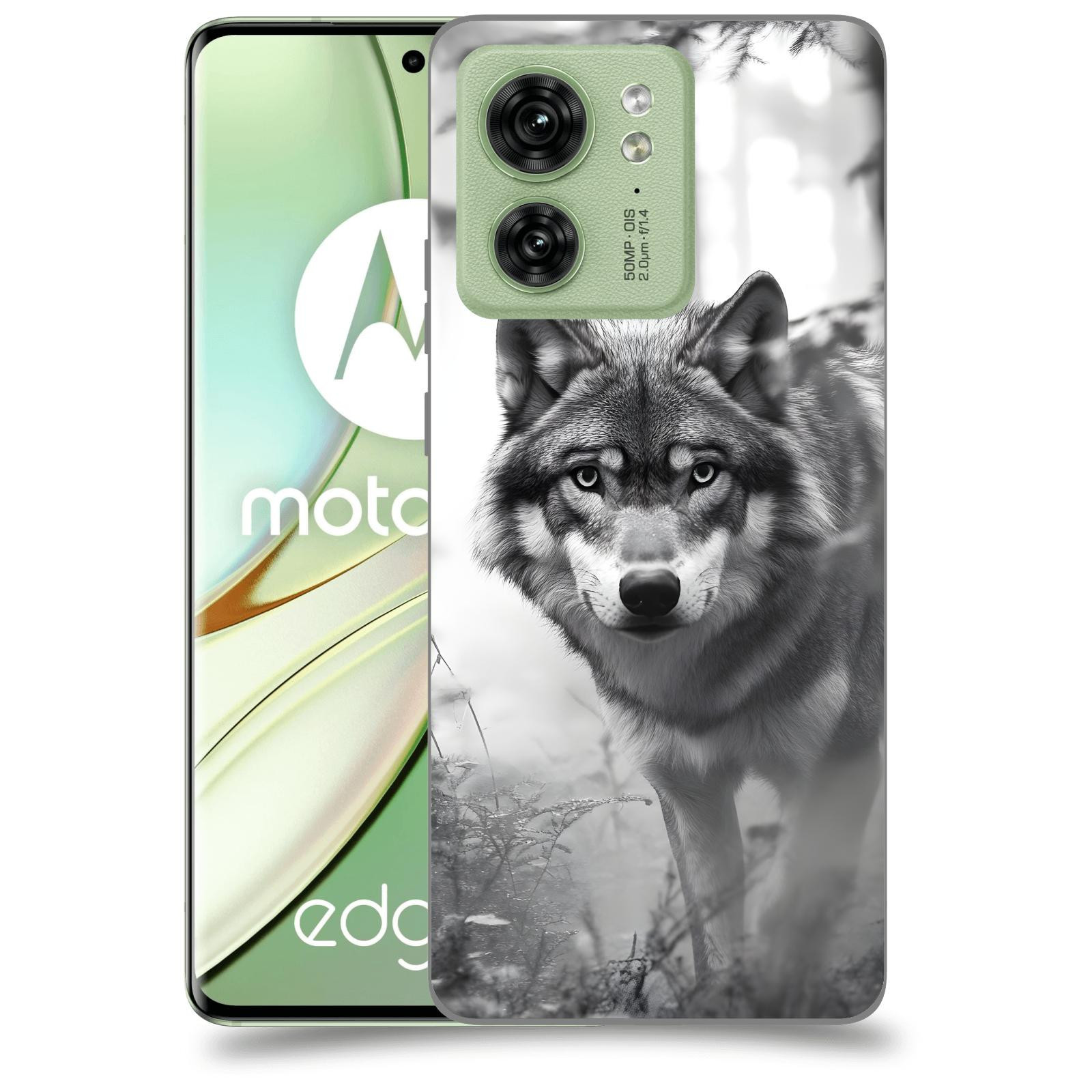 ACOVER Kryt na mobil Motorola EDGE 40 5G - Vlk