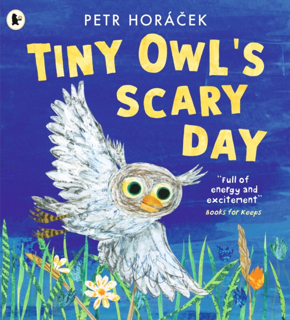 Tiny Owl's Scary Day - Petr Horáček