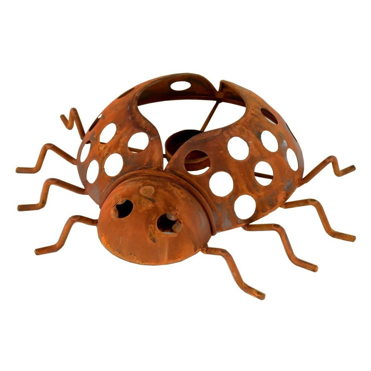 Signes Grimalt  Svícen Beruška  Hnědá