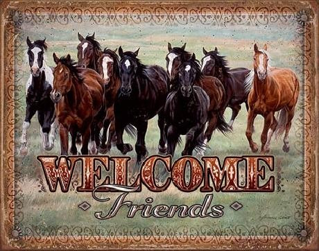 DESPERATE Plechová cedule WELCOME - HORSES - Friends, 40 × 31.5 cm