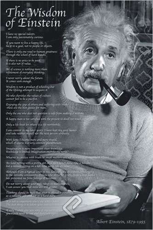 EUROGRAPHICS Plakát, Obraz - Wisdom of Einstein, 61 × 91.5 cm
