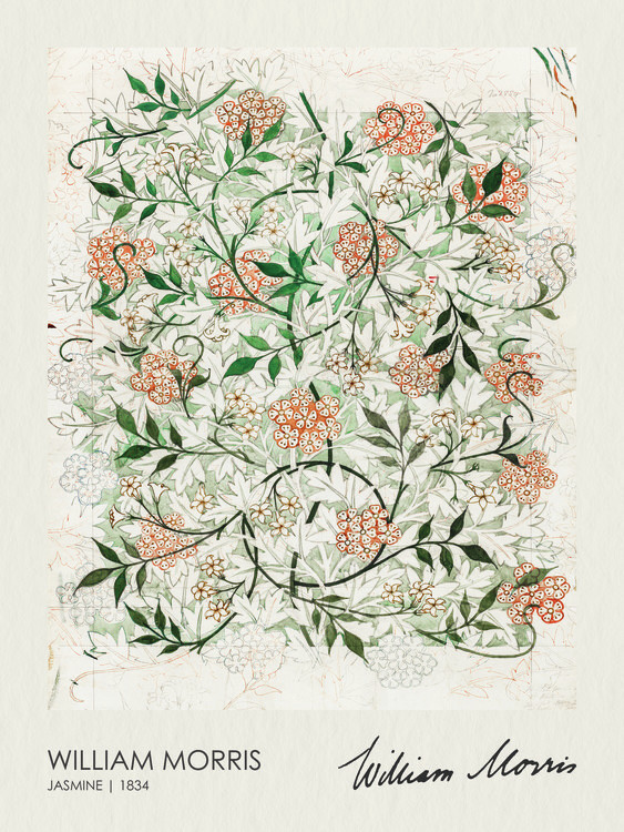 William Morris Obrazová reprodukce Jasmine (1834), William Morris, 30 × 40 cm