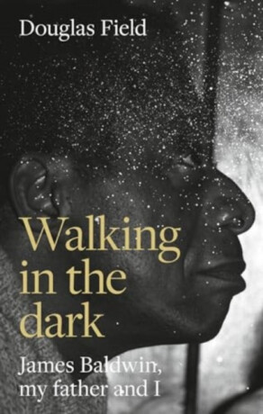 Walking in the Dark - Douglas Field