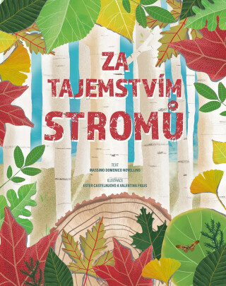 Za tajemstvím stromů - Massimo Domenico Novellino