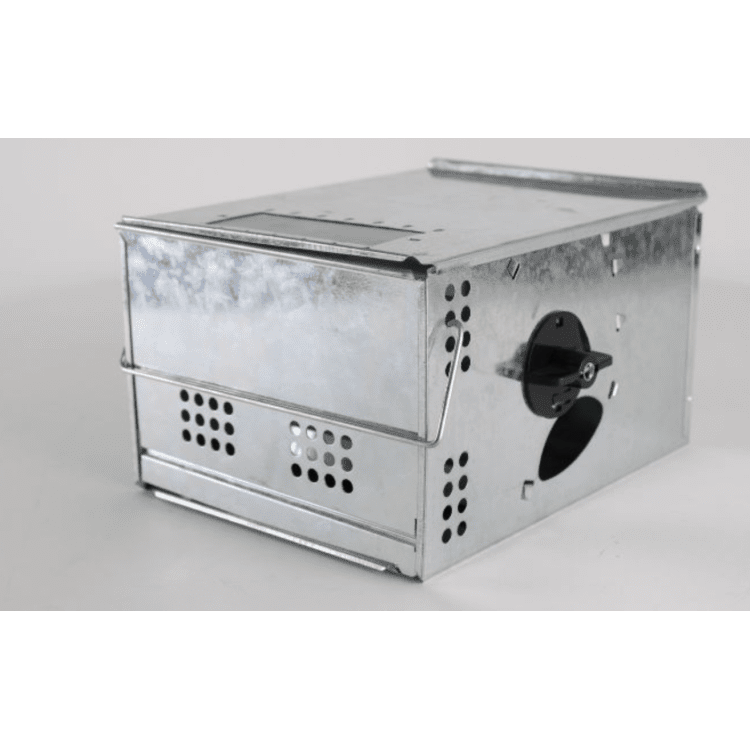 Past na krysy, myši 