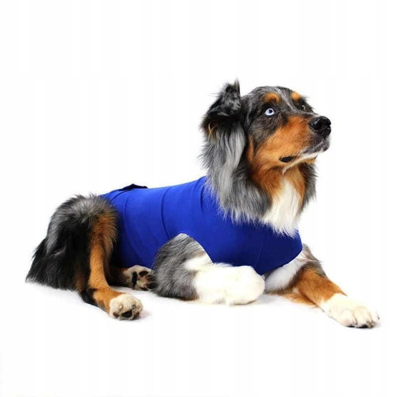 Pooperační oblečení Recova Balto [velikost XXL]