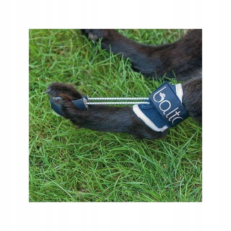 Ortéza na opravu chůze psa Balto [velikost L]