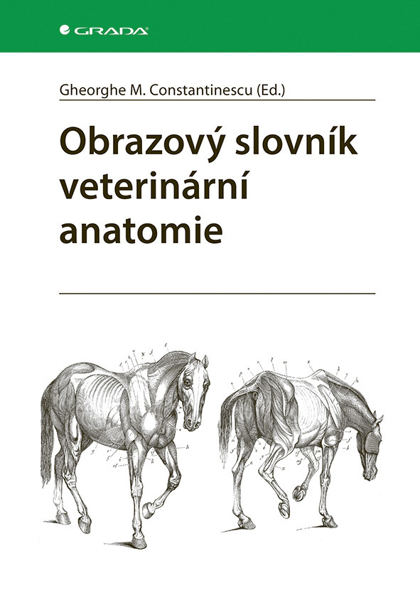 Kniha: Obrazový slovník veterinární anatomie od Constantinescu M. Gheorghe
