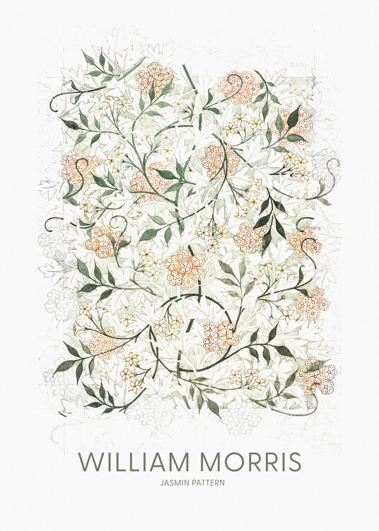 William Morris Ilustrace Jasmine, William Morris, 30 × 40 cm