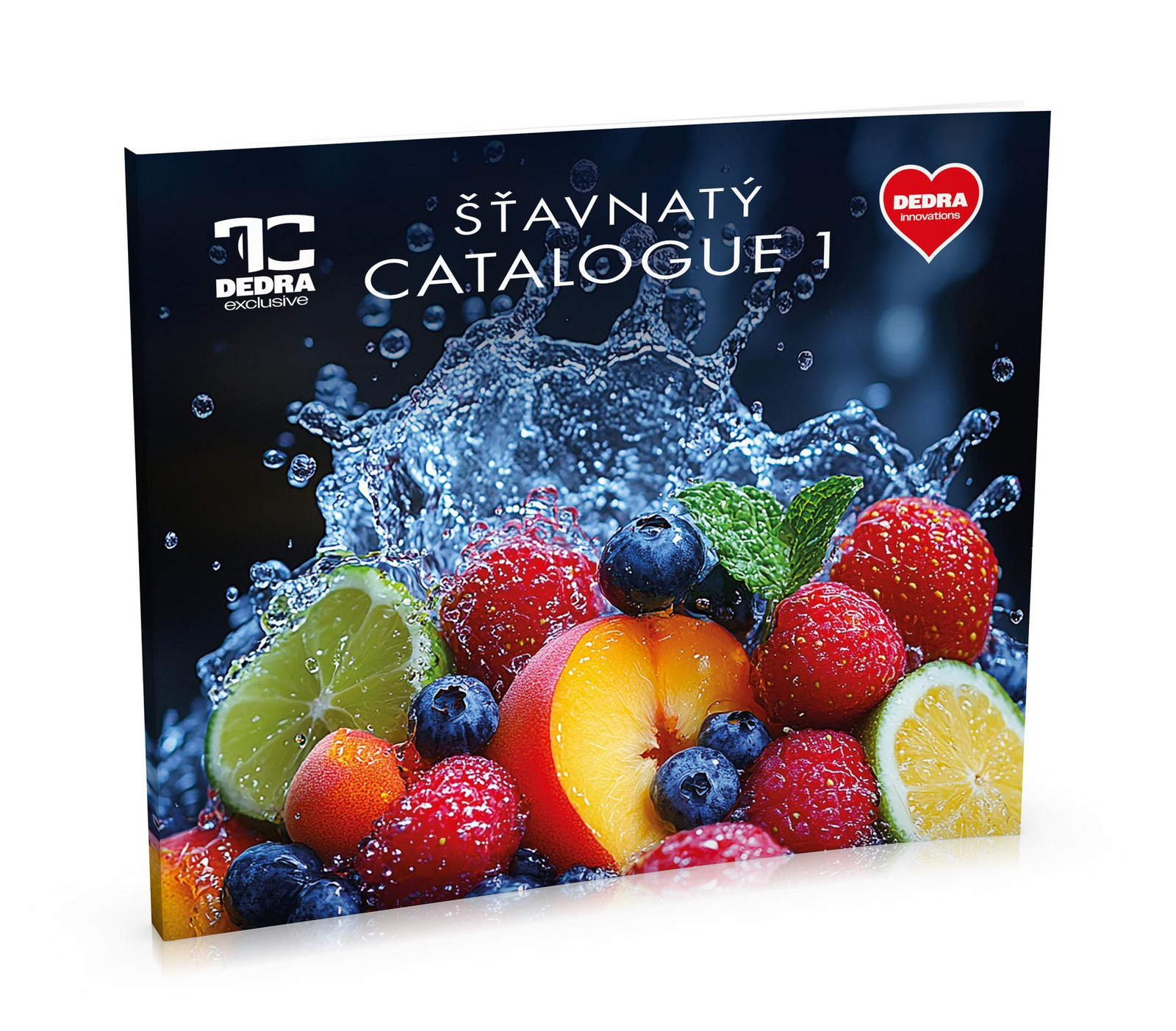 CATALOGUE 1/2025 ŠŤAVNATÝ hlavní katalog