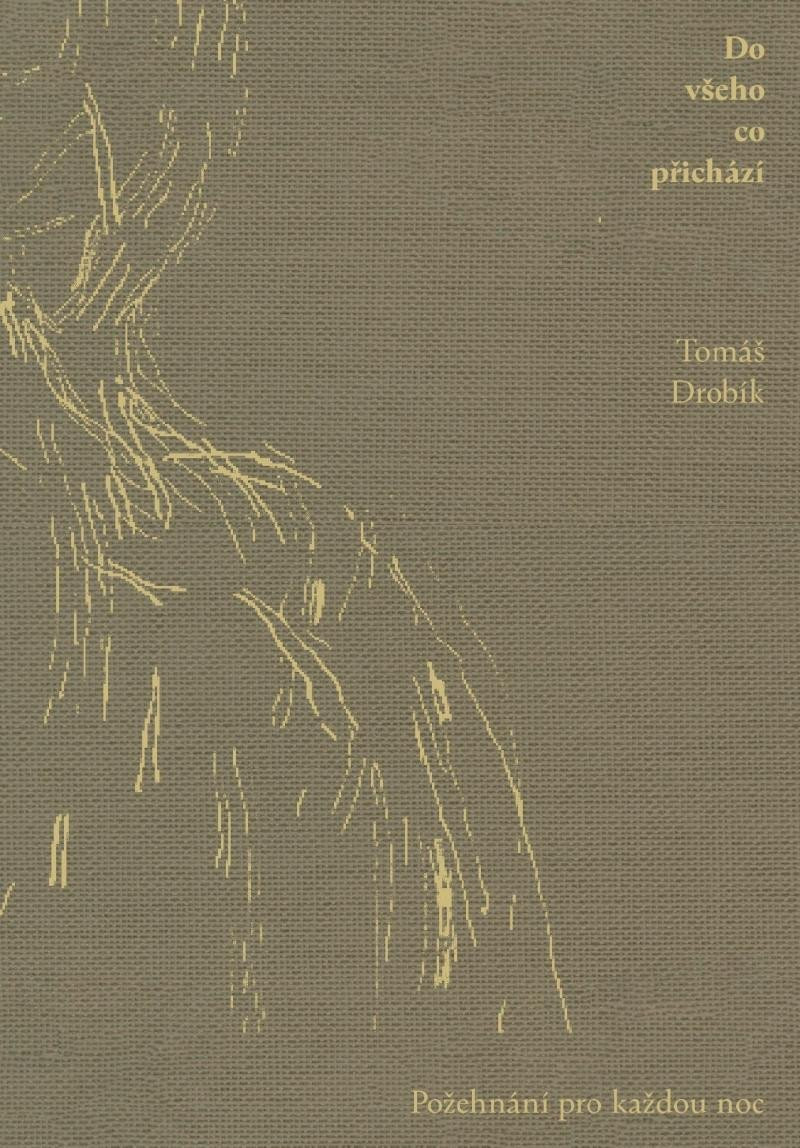 Do všeho co přichází - Tomáš Drobík