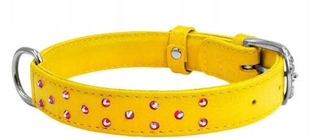 Obojek Pro Psa Z Kůže Waudog Collar 25MM 38-49 CM