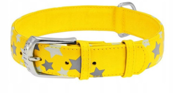 Obrož Pro Psa Kůže Waudog Collar reflektor 27-36CM