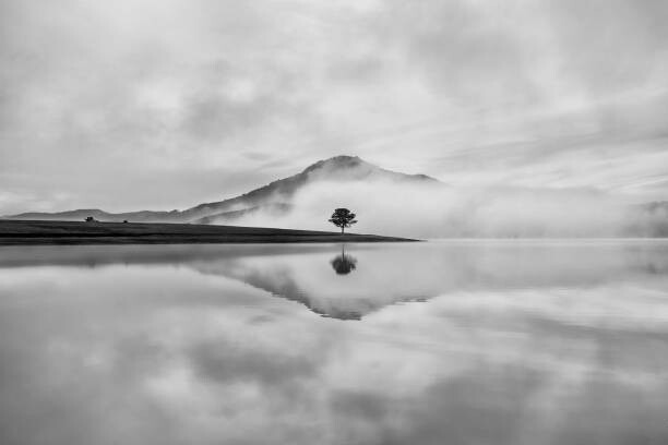 Thanh Thuy Fotografie Reflective trees on the lake, Thanh Thuy, 40 × 26.7 cm