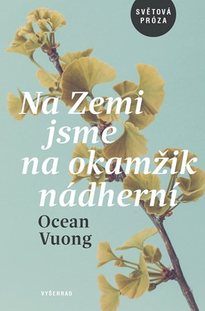 Na Zemi jsme na okamžik nádherní - Ocean Vuong, Martin Světlík