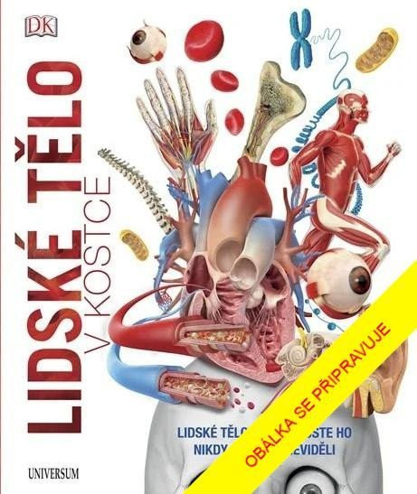 Lidské tělo v kostce, 2.  vydání - kolektiv autorů