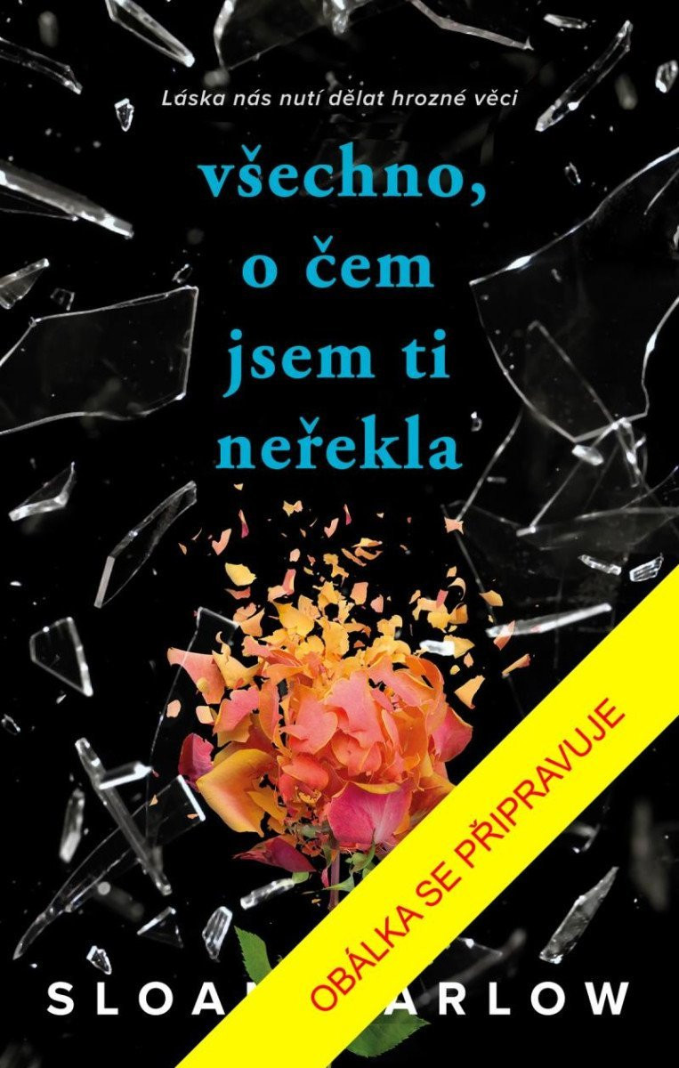 Všechno, o čem jsem ti neřekla - Sloan Harlow