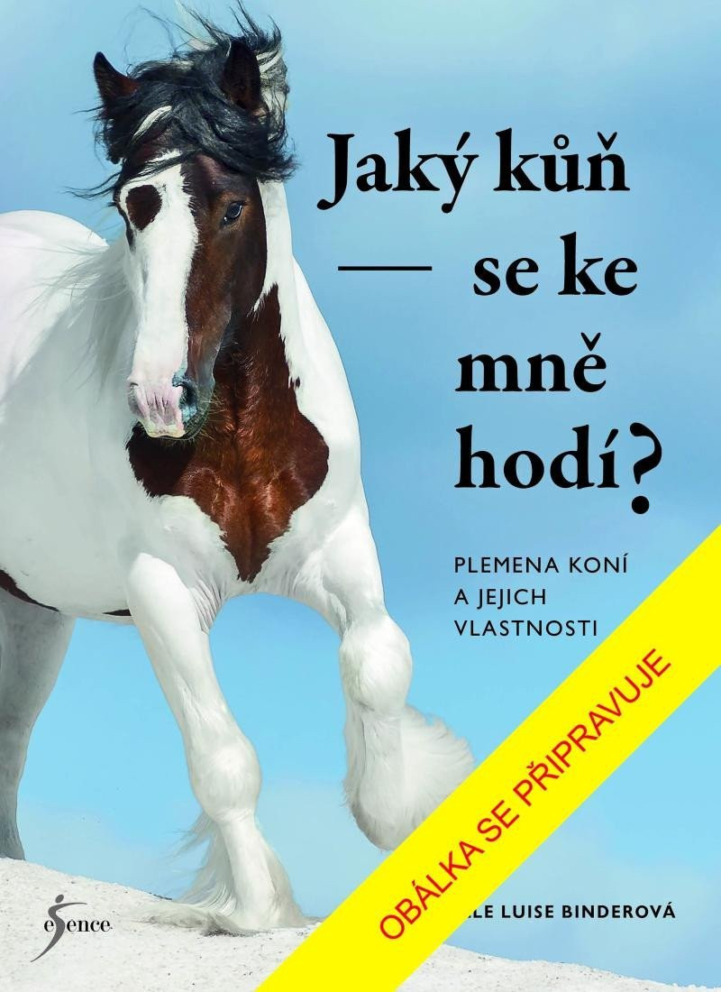 Jaký kůň se ke mně hodí? - Sibylle Luise Binder