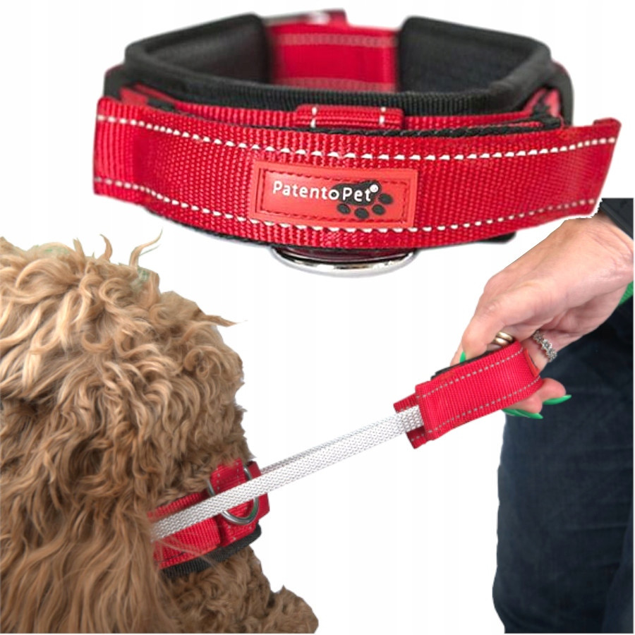 2v1 Obojek S Rukojetí Voděodolný Pro Psa Trénink