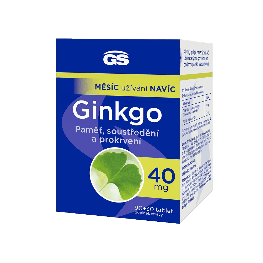 GS Ginkgo 40mg 90 +