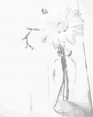 Tečkování - Kopretina v lahvi