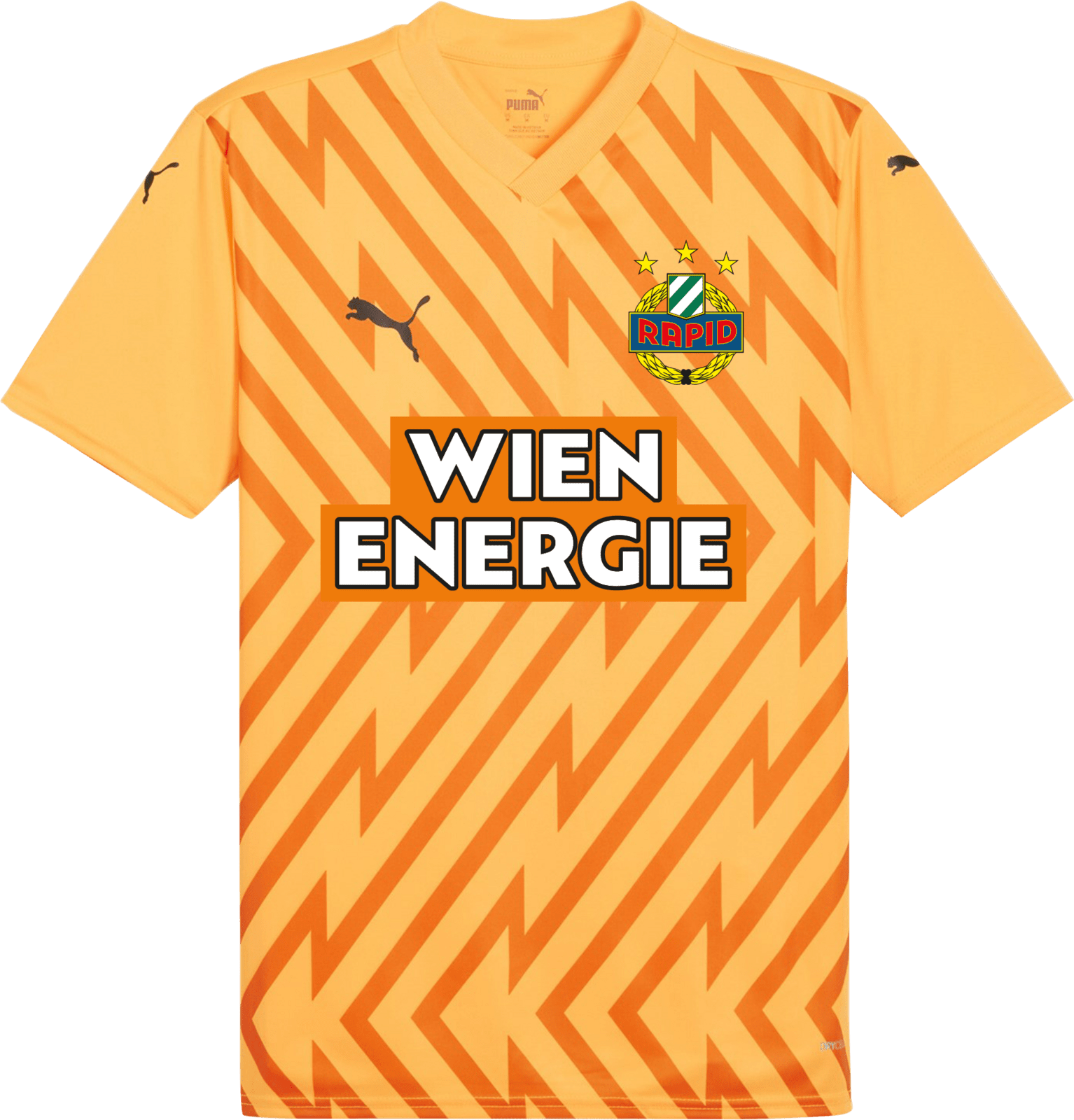 Dres Puma  SK Rapid Goalkeeper Jersey 2024/25