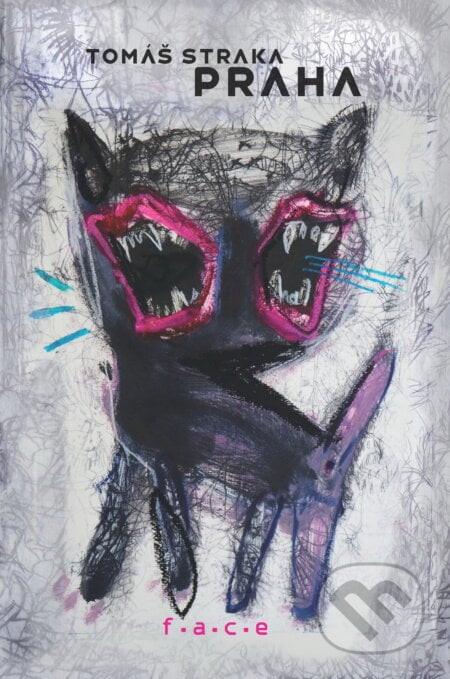 Praha - Tomáš Straka