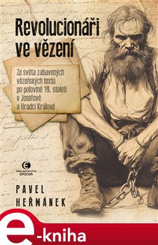 Revolucionáři ve vězení - Pavel Heřmánek