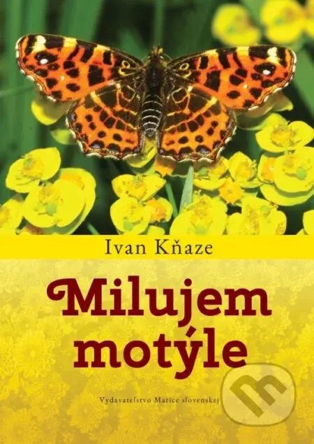 Milujem motýle - Ivan Kňaze