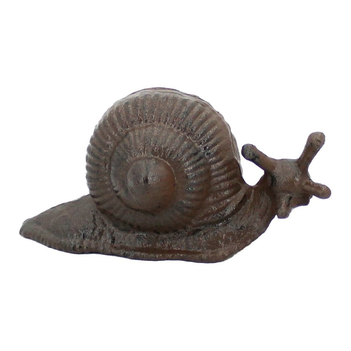 Signes Grimalt  Šnek  Hnědá