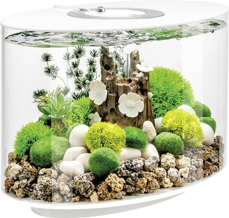 OASE biOrb 86414 biOrb LOOP 15 LED weiß akvárium Energetická třída (EEK2021): G (A - G) 15 l s LED osvětlením