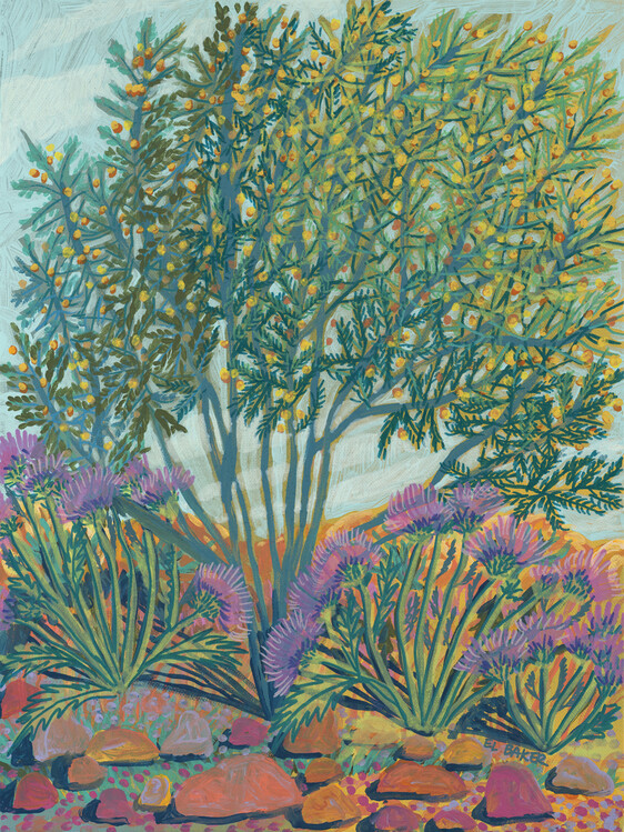 Eleanor Baker Ilustrace Green bush, Eleanor Baker, 30 × 40 cm