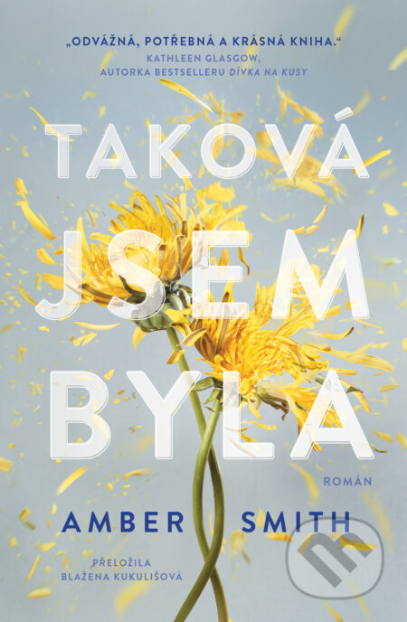 Taková jsem byla - Amber Smith