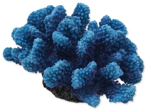 Dekorace AQUA EXCELLENT mořský korál modrý