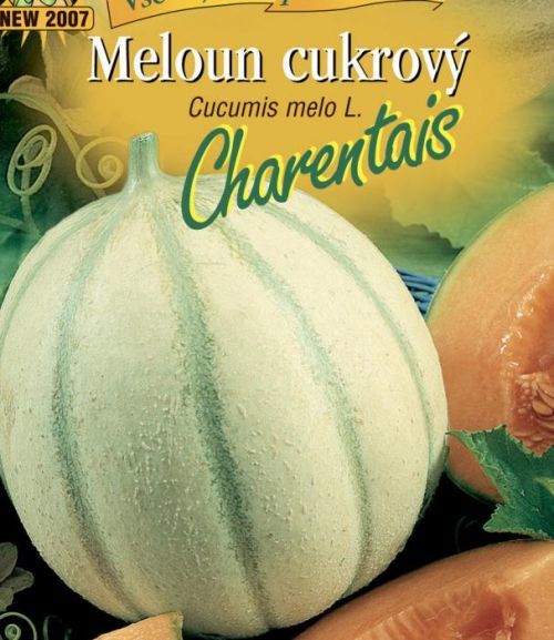 Meloun cukrový CHARENTAIS