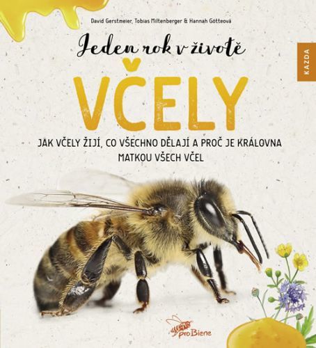 Jeden rok v životě včely - David Gerstmeier, Hannah Götteová, Tobias Miltenberger
