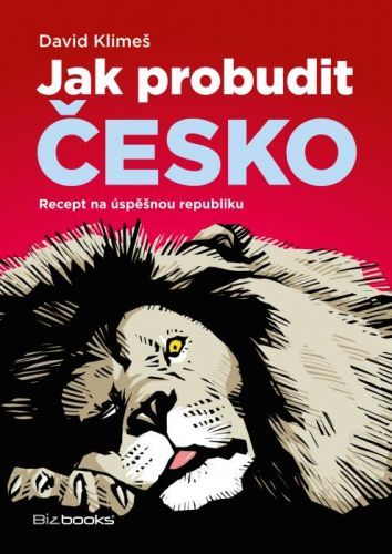 Jak probudit Česko - David Klimeš - e-kniha