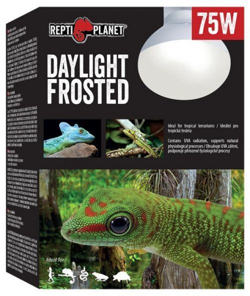 Žárovka REPTI PLANET Daylight Frosted 75W