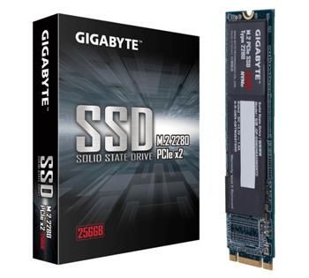 GigaByte M.2 SSD 256GB