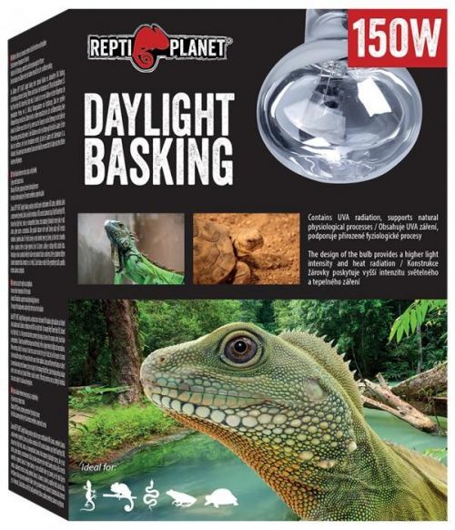 Žárovka REPTI PLANET Daylight Basking Spot 150W