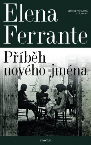 Geniální přítelkyně: Příběh nového jména - Elena Ferrante - e-kniha